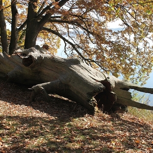 Trebon und Budweis